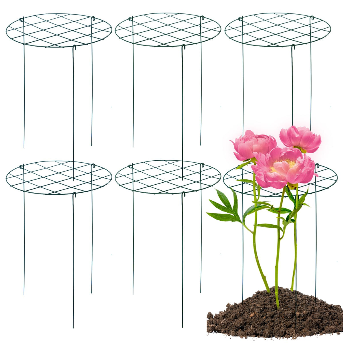 TIyneayle peony cage 16x24 assembly supports heavy blooms with airflow.