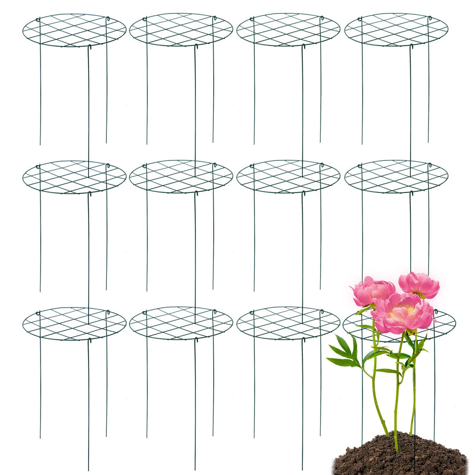 TIyneayle peony cages in use supporting tall blooms for better air flow.