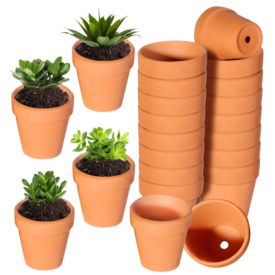 TKSCUSR 22Pcs 3-Inch terracotta pots set, ready for planting indoors or outdoors.