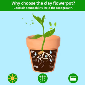 Mini clay pot kit for DIY crafts and kids projects