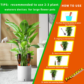 Gift-ready packaging featuring TKSCUSR self-watering spikes.
