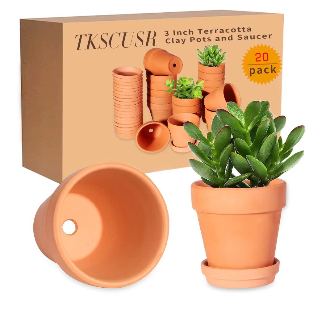 Compact pot and saucer set on a tidy surface