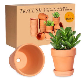 Compact pot and saucer set on a tidy surface