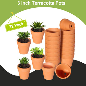 TKSCUSR pot close-up shows drainage holes for healthy watering.