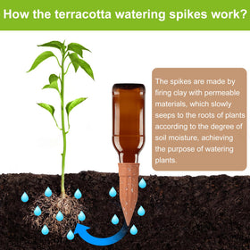 TKSCUSR terracotta watering nail delivers gradual moisture to soil.