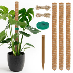 tlazz 54 inch moss pole 3-pack assembly: keeps climbing plants supported and tidy in small spaces.