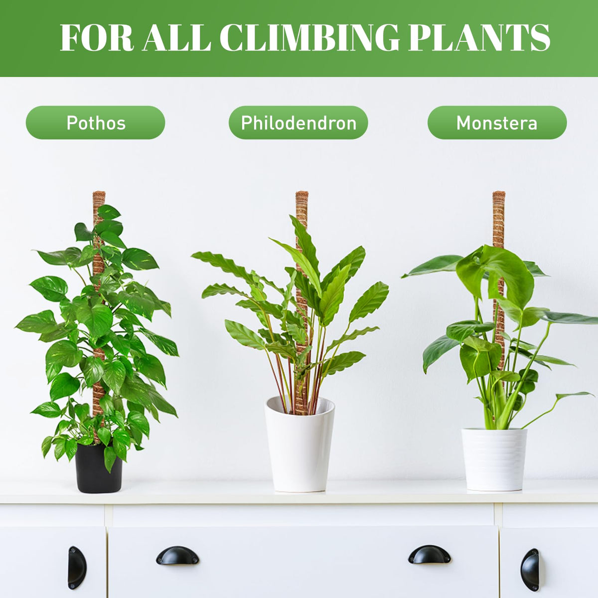 tlazz included stakes ropes and tape emphasize easy securement and tidy guide for stems.