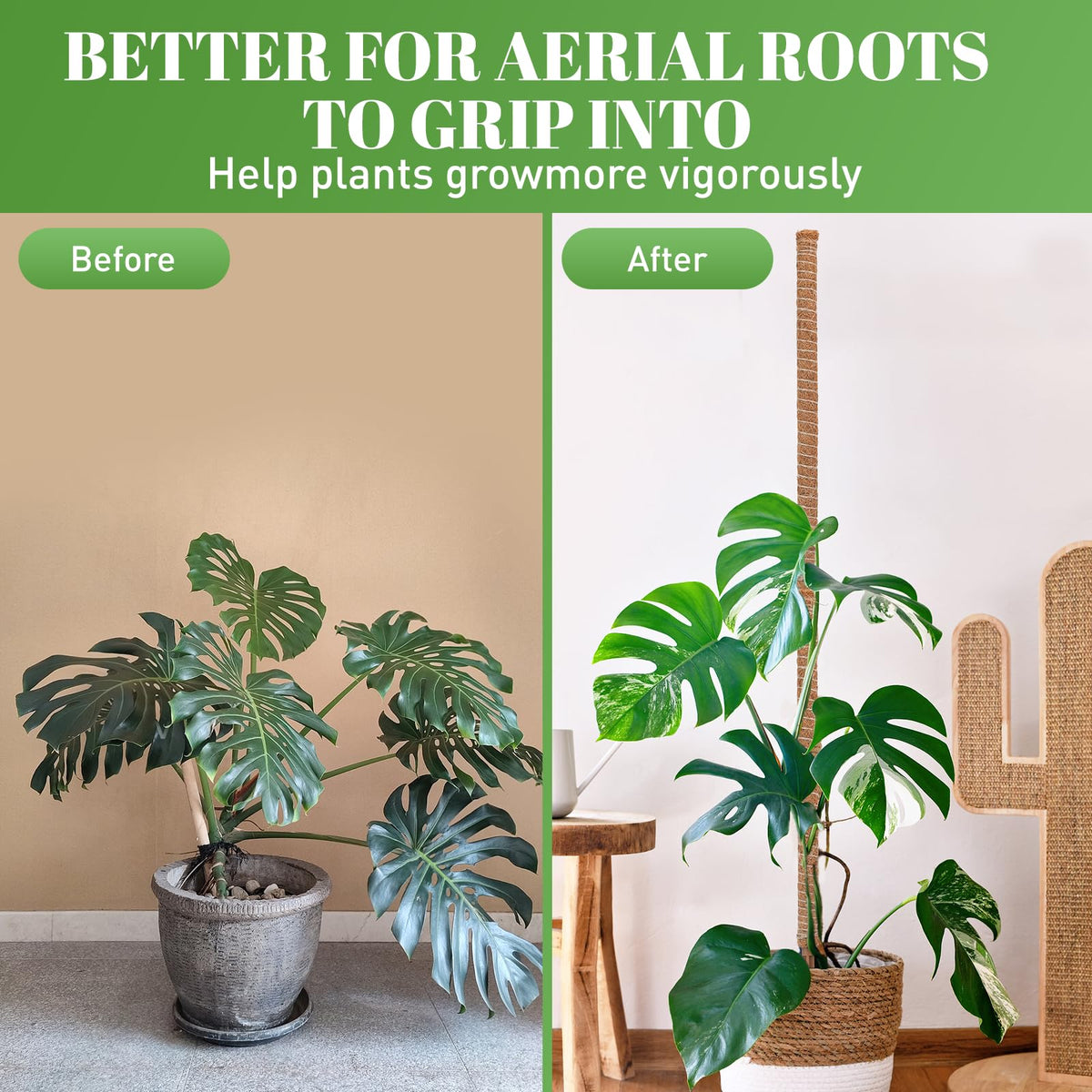 tlazz stackable design allows adaptable setups for changing plant needs.