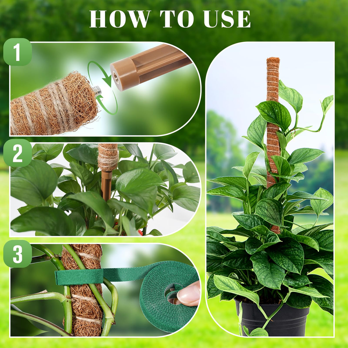 tlazz vertical indoor garden with moss poles saving space and promoting upward growth.