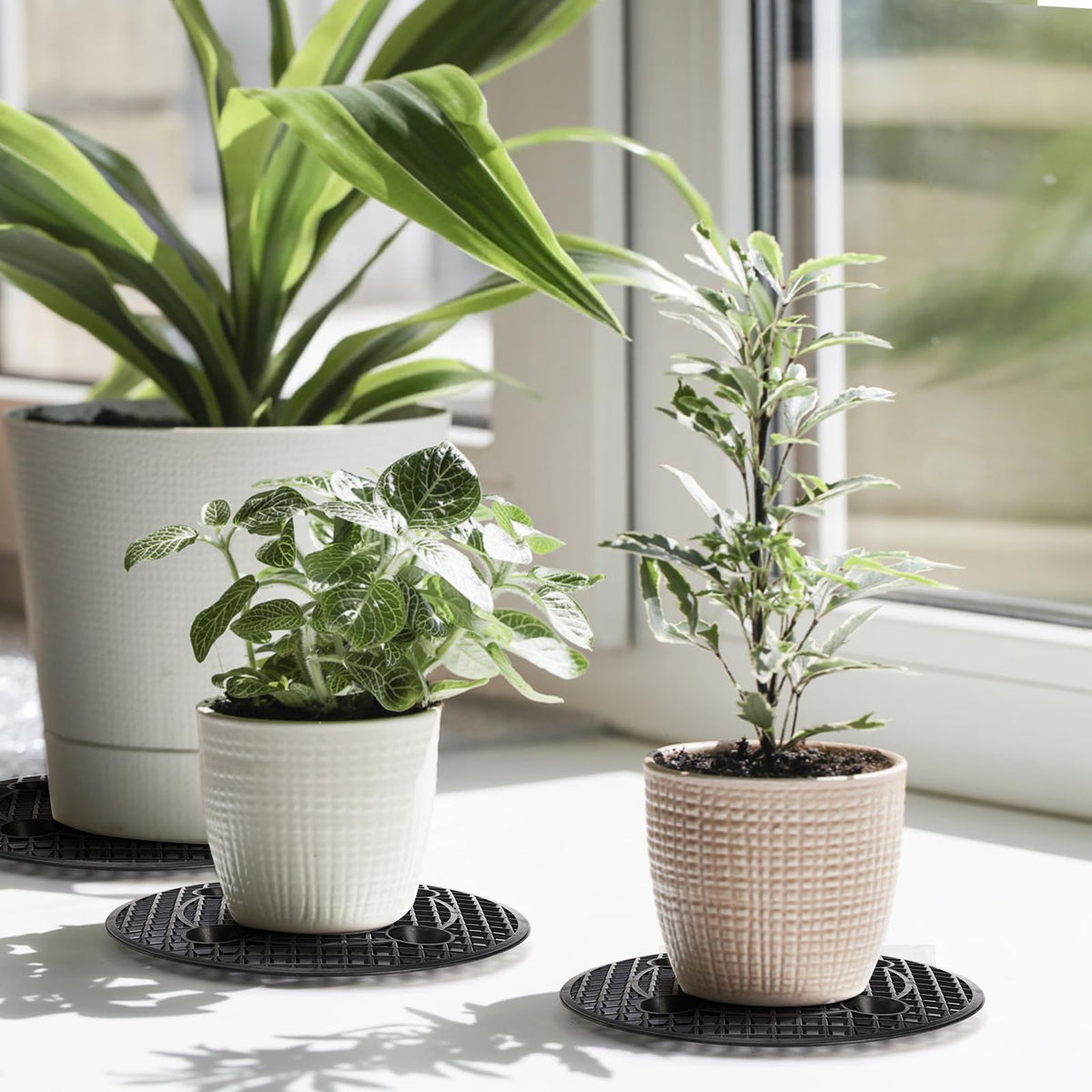 Tlence 15-piece set for plants showcases complete elevation solution