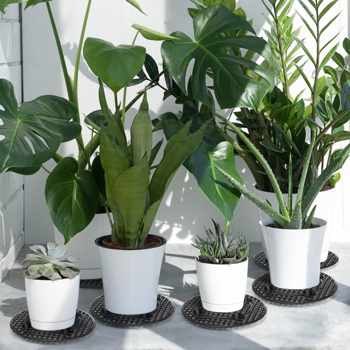 Tlence eco-friendly plastic plant stand highlights sustainable material