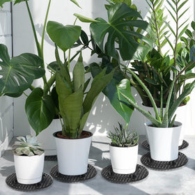 Tlence eco-friendly plastic plant stand highlights sustainable material
