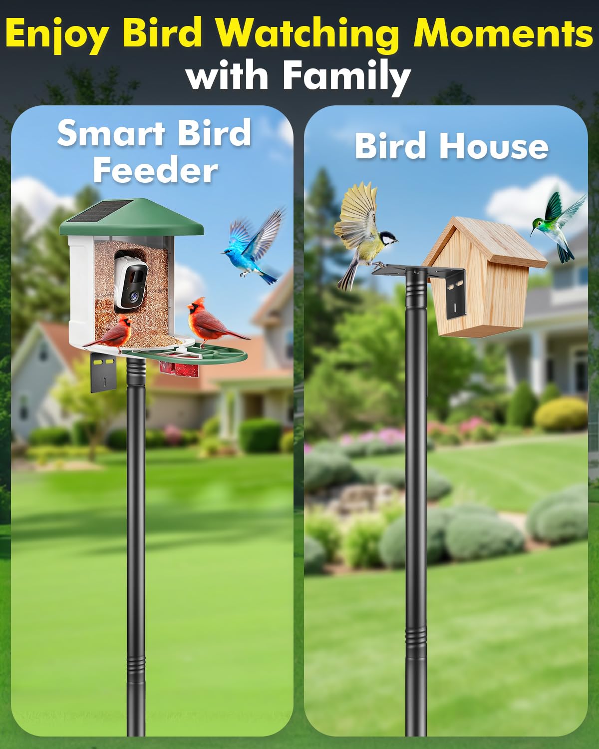 TLEYTOA adjustable-height bird feeder pole lets you tailor the viewing angle