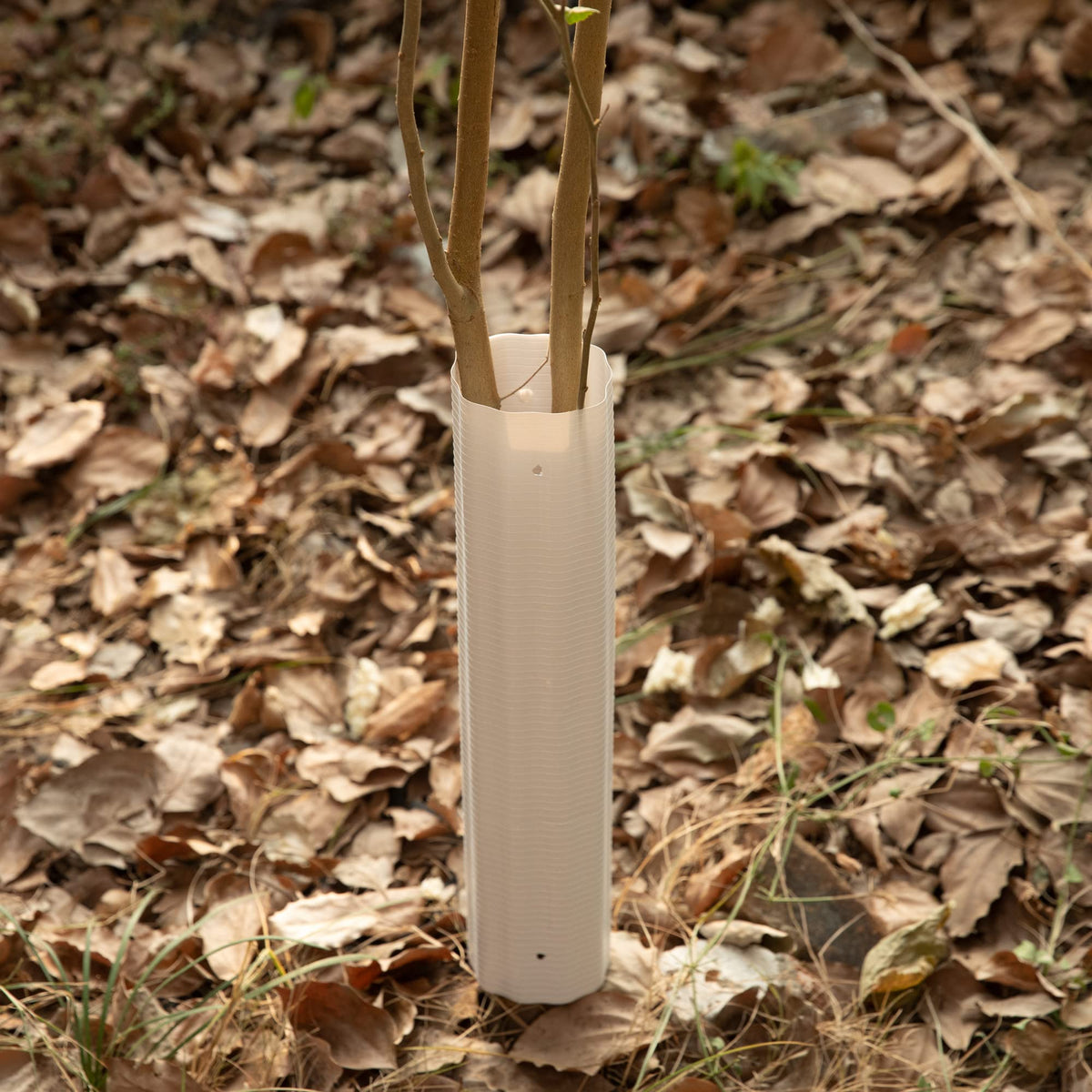 Tlswshsy reusable guards promote sustainable gardening and durability
