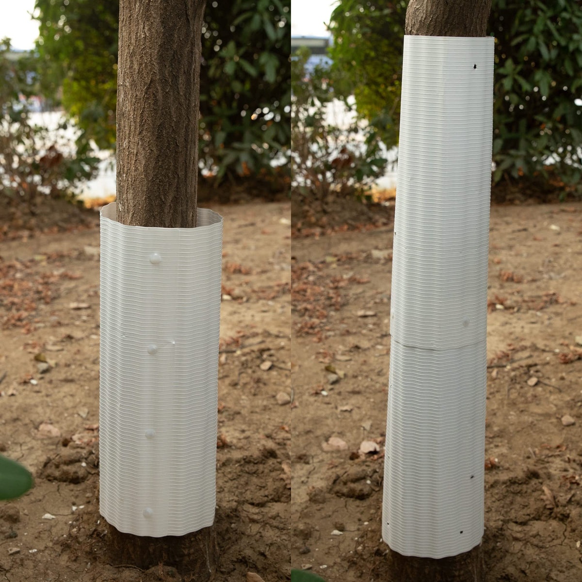 Tlswshsy sapling protection tubes simplify landscaping and save time