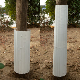 Tlswshsy sapling protection tubes simplify landscaping and save time