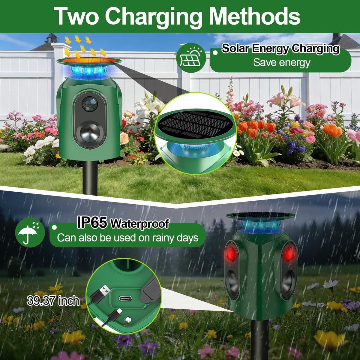TLXLT PIR sensor unit provides reliable motion-activated deterrence during night hours.