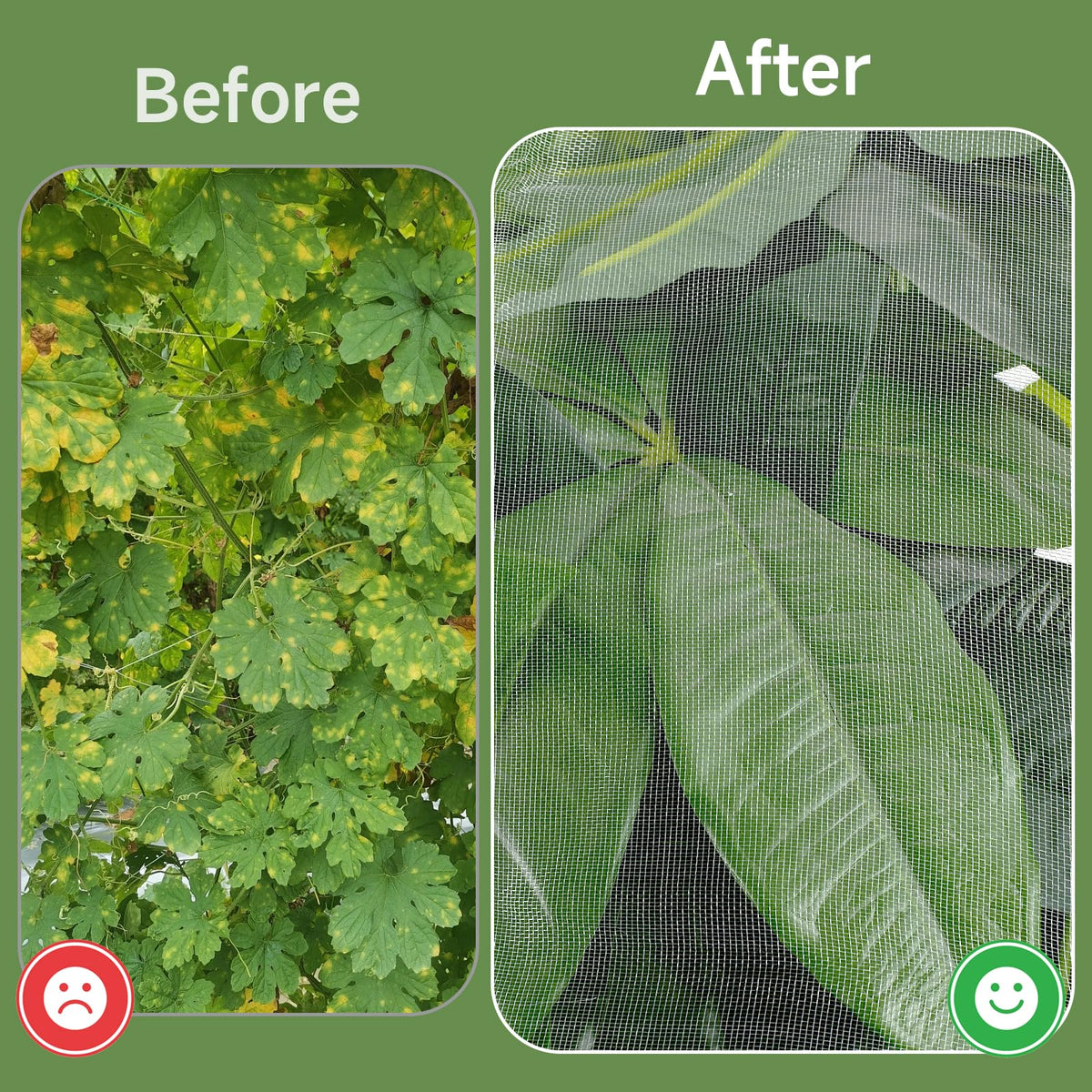 TMFsode insect and bird protection netting keeps crops safe.