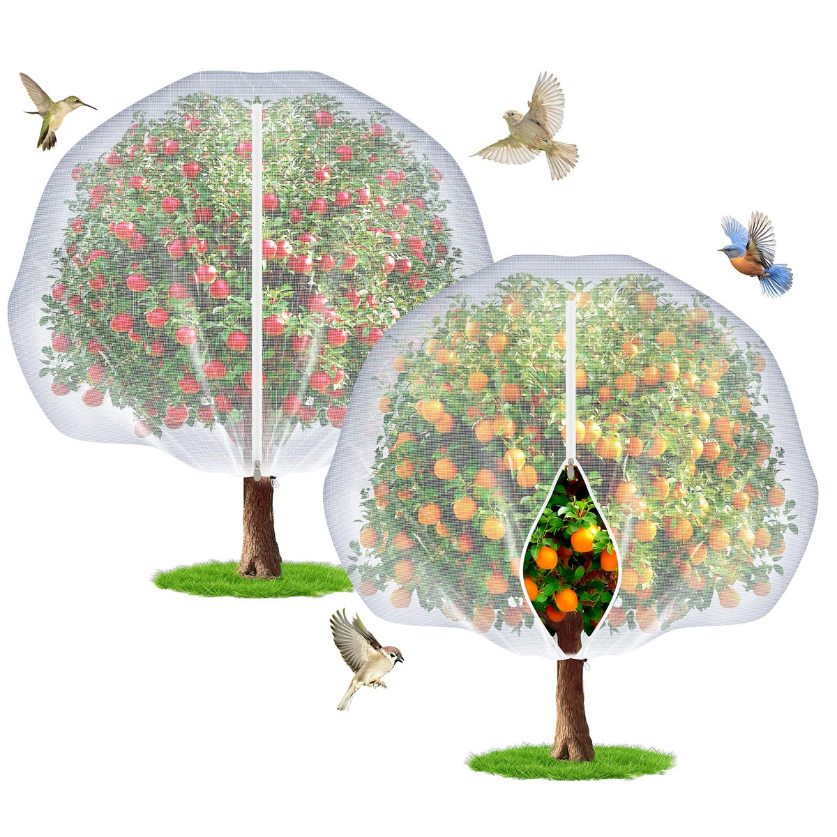 TMFsode fruit tree netting with zipper protects trees from pests.