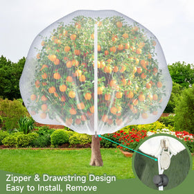 TMFsode patio plants protected by lightweight insect netting for outdoors.