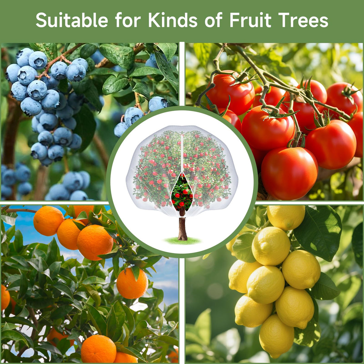 TMFsode tomato and fruit netting shields blossoms from pests.