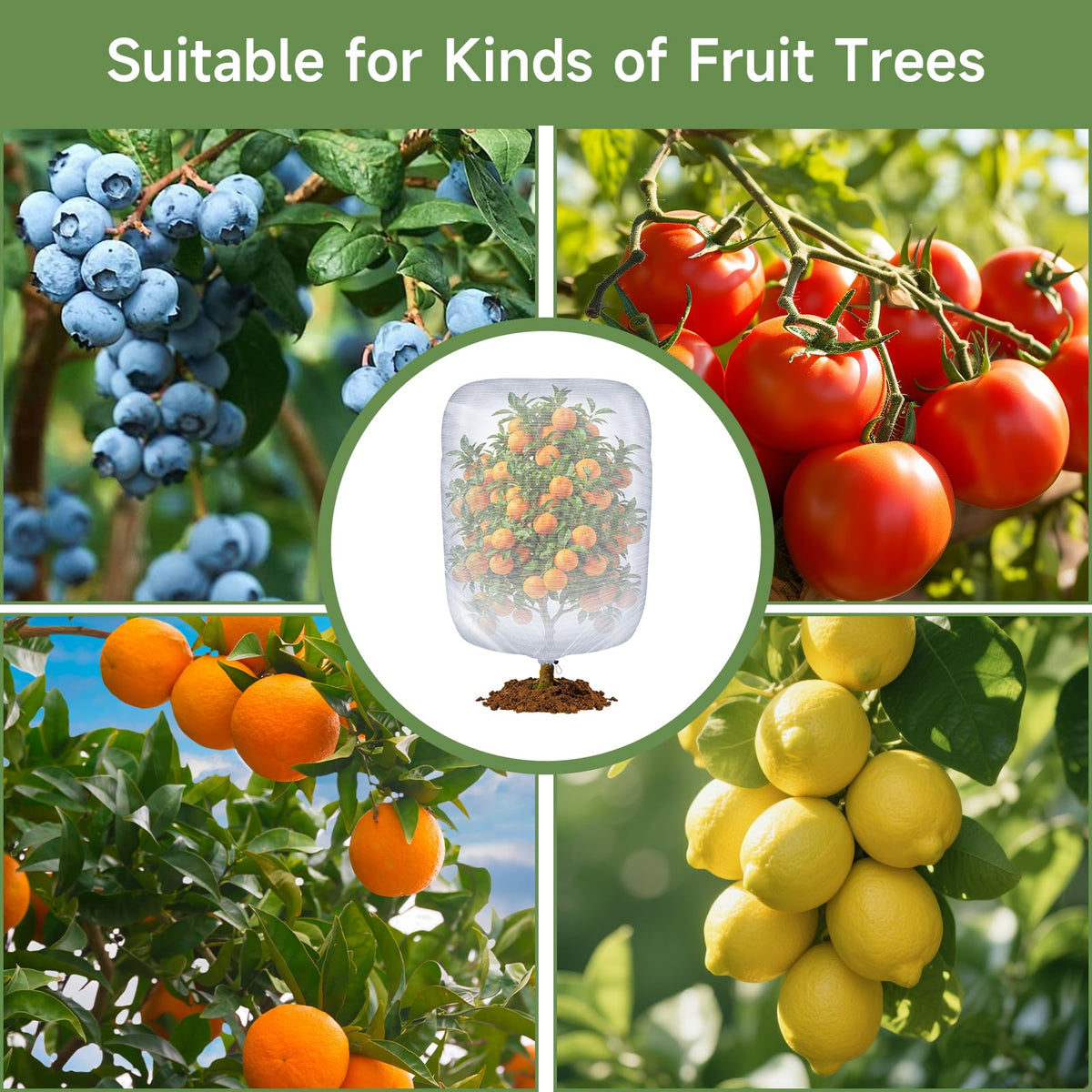 TMFsode water-permeable mesh lets rain and sun reach plants.