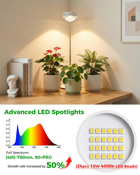 Tmsluody full-spectrum LED spotlight provides healthy indoor plant growth and color