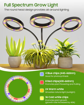 Tmsluody timer settings enable hands-free daily lighting