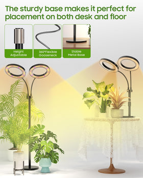 Tmsluody ring-shaped head provides wide coverage for multiple plants