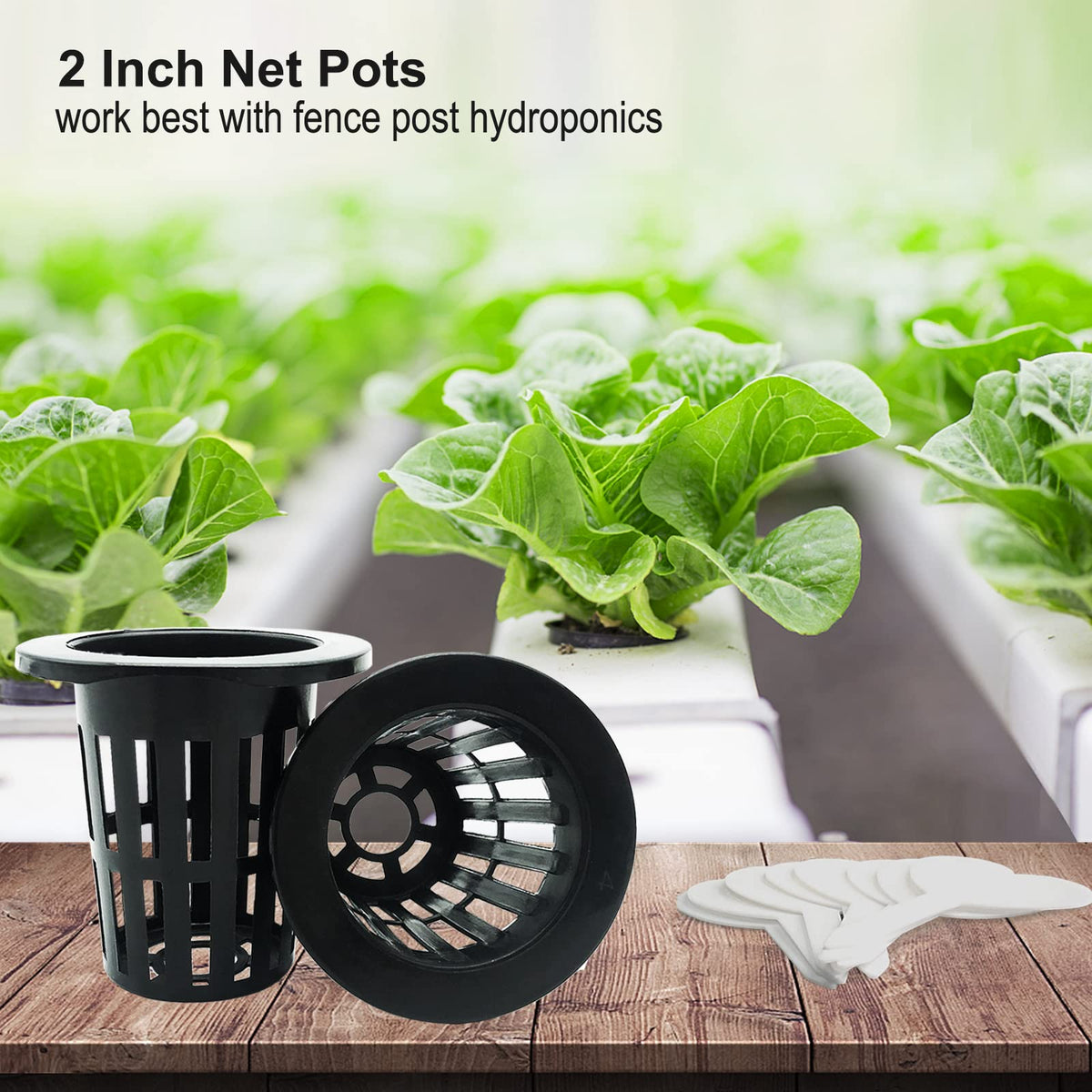 Tmtamye 2-inch net pots with wide lip arc design for easy grip.