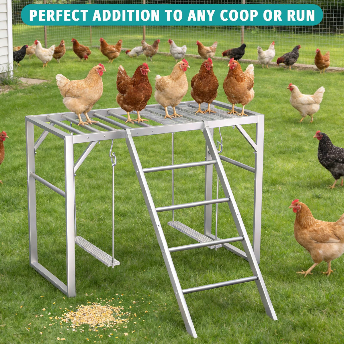 TNELTUEB detachable ladder module enables flexible coop layout.