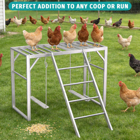 TNELTUEB detachable ladder module enables flexible coop layout.