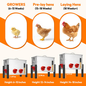 TNELTUEB easy assembly chicken feeder fits most coops