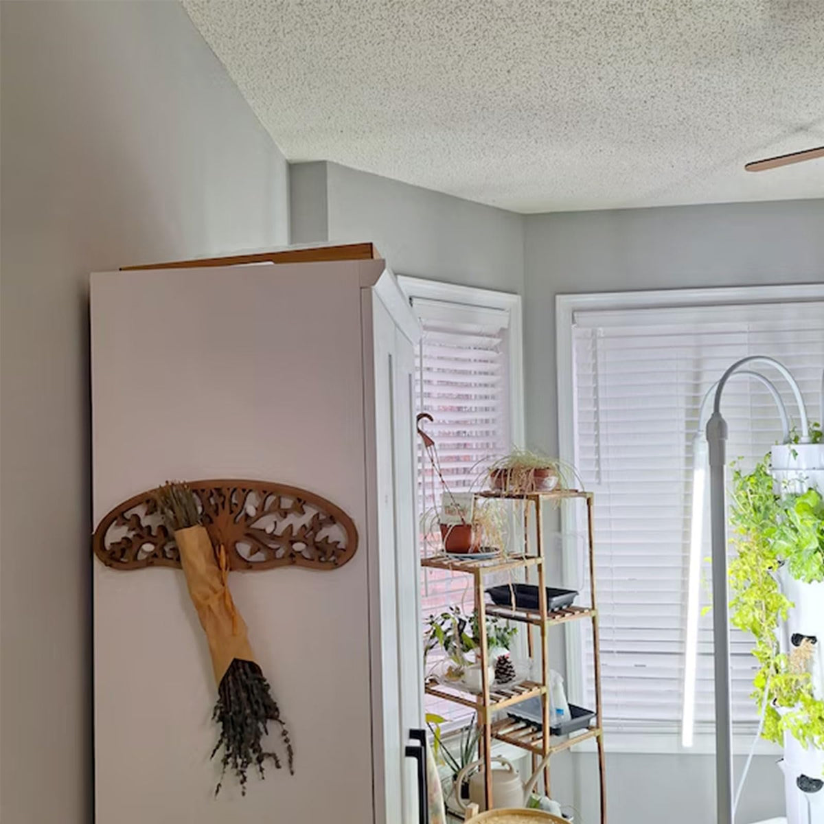Tnstbiee Tree of Life drying rack close-up highlighting durable pine wood
