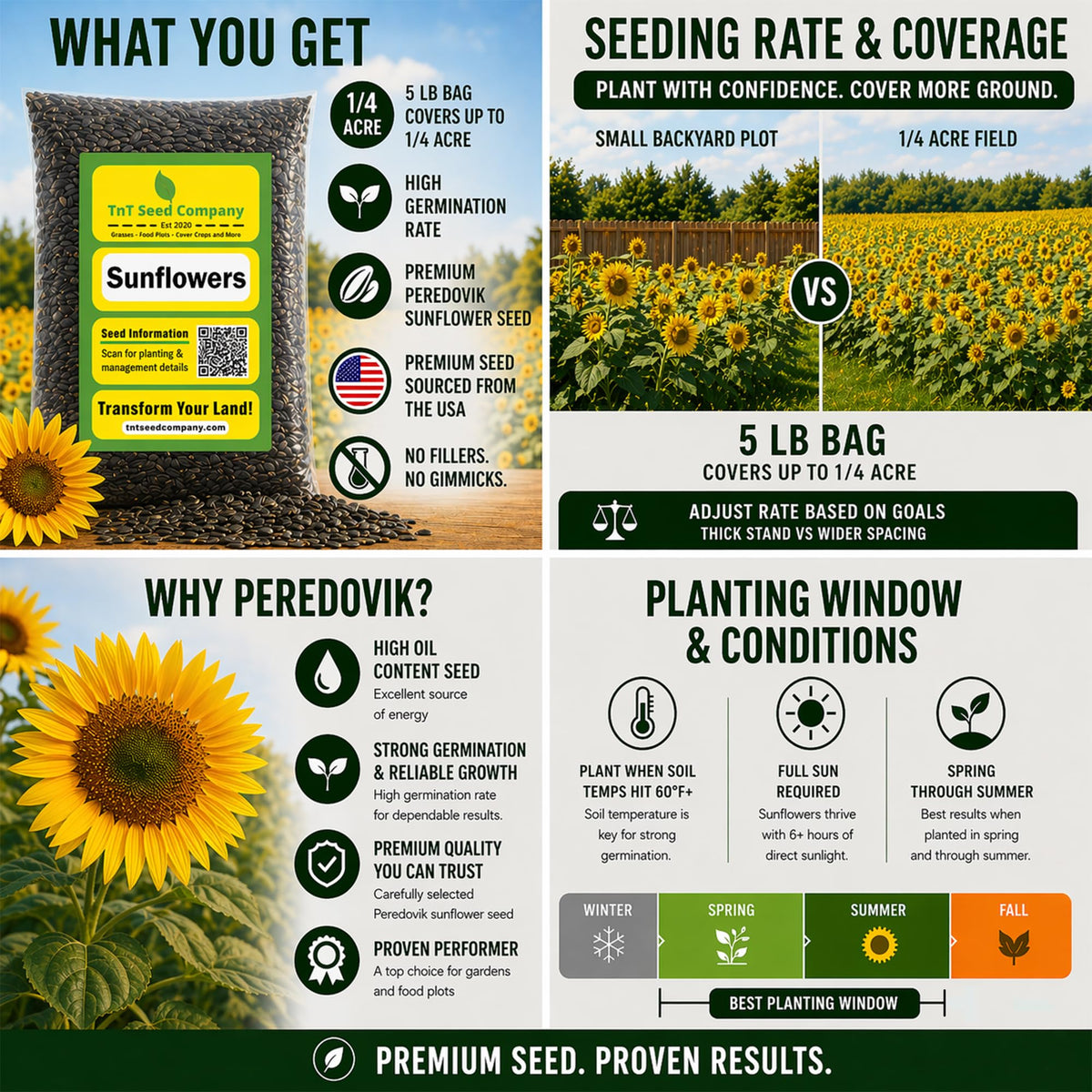TnT sunflower blooms attract bees and butterflies in a garden.