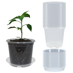 TNTIWQ 20-pack 4-inch clear nursery pots showing clear walls for easy seedling monitoring