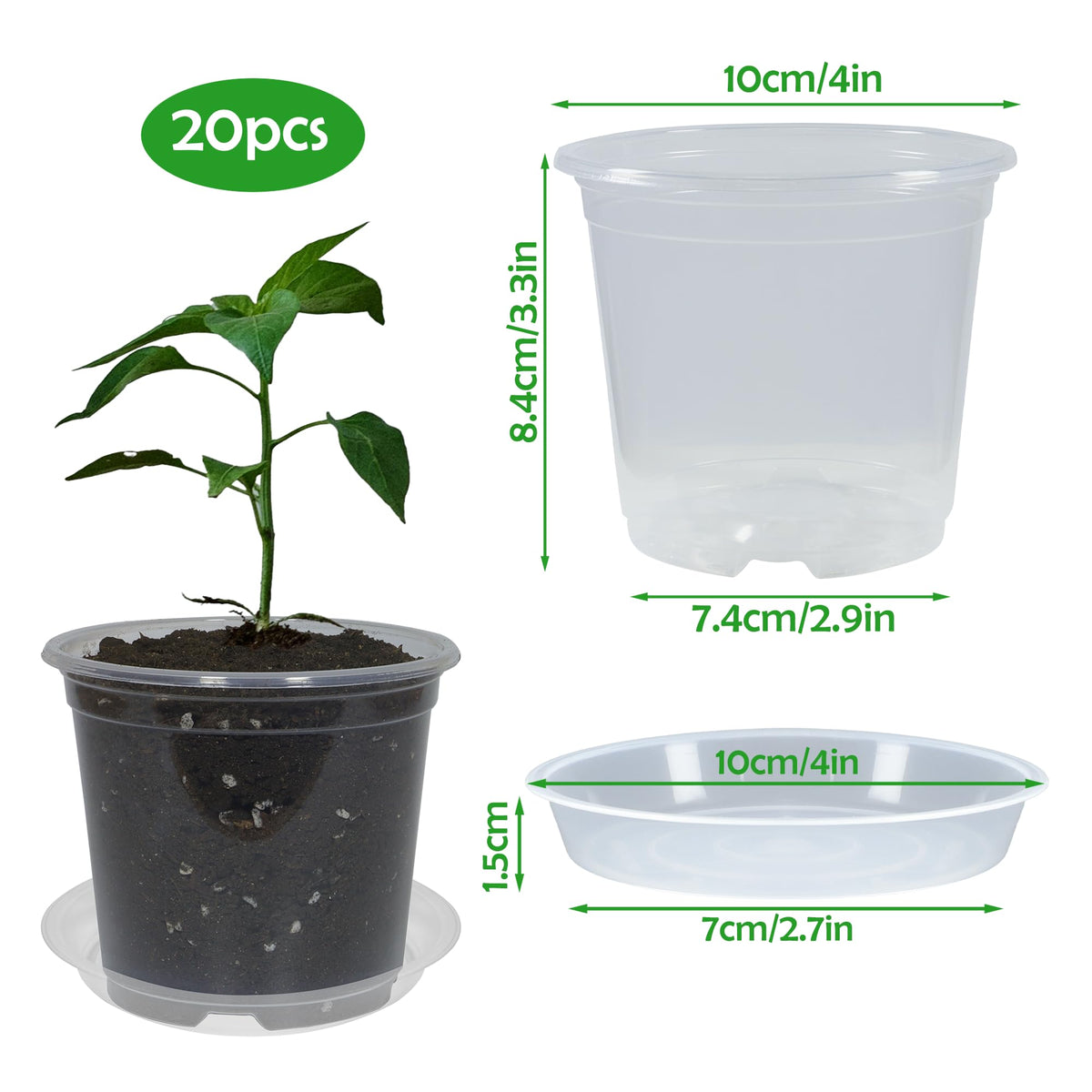TNTIWQ clear pots with drainage holes to manage moisture