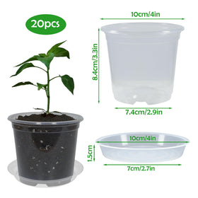 TNTIWQ clear pots with drainage holes to manage moisture