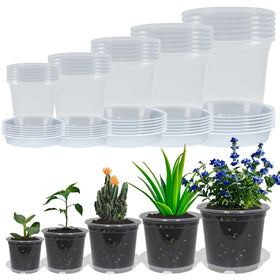 TNTIWQ clear nursery pot 3 inch with drainage for seed starting