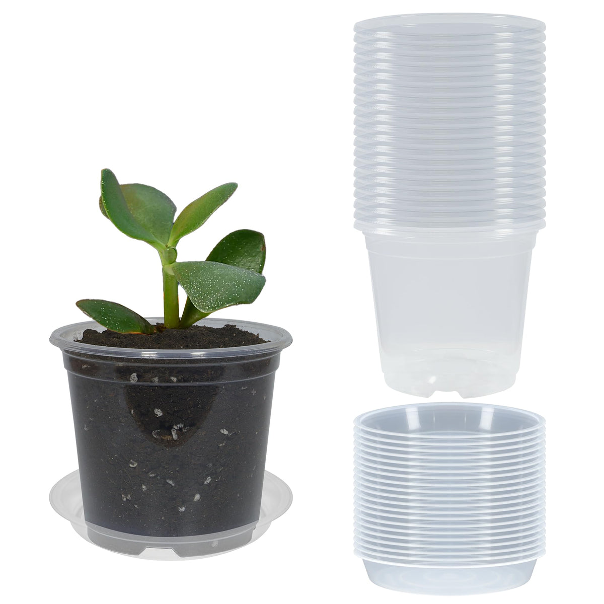 TNTIWQ clear nursery pot 3-inch showing sturdy, reusable design for seed starting.