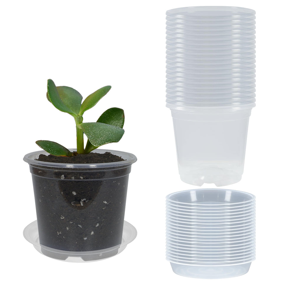 TNTIWQ clear nursery pot 3-inch showing sturdy, reusable design for seed starting.