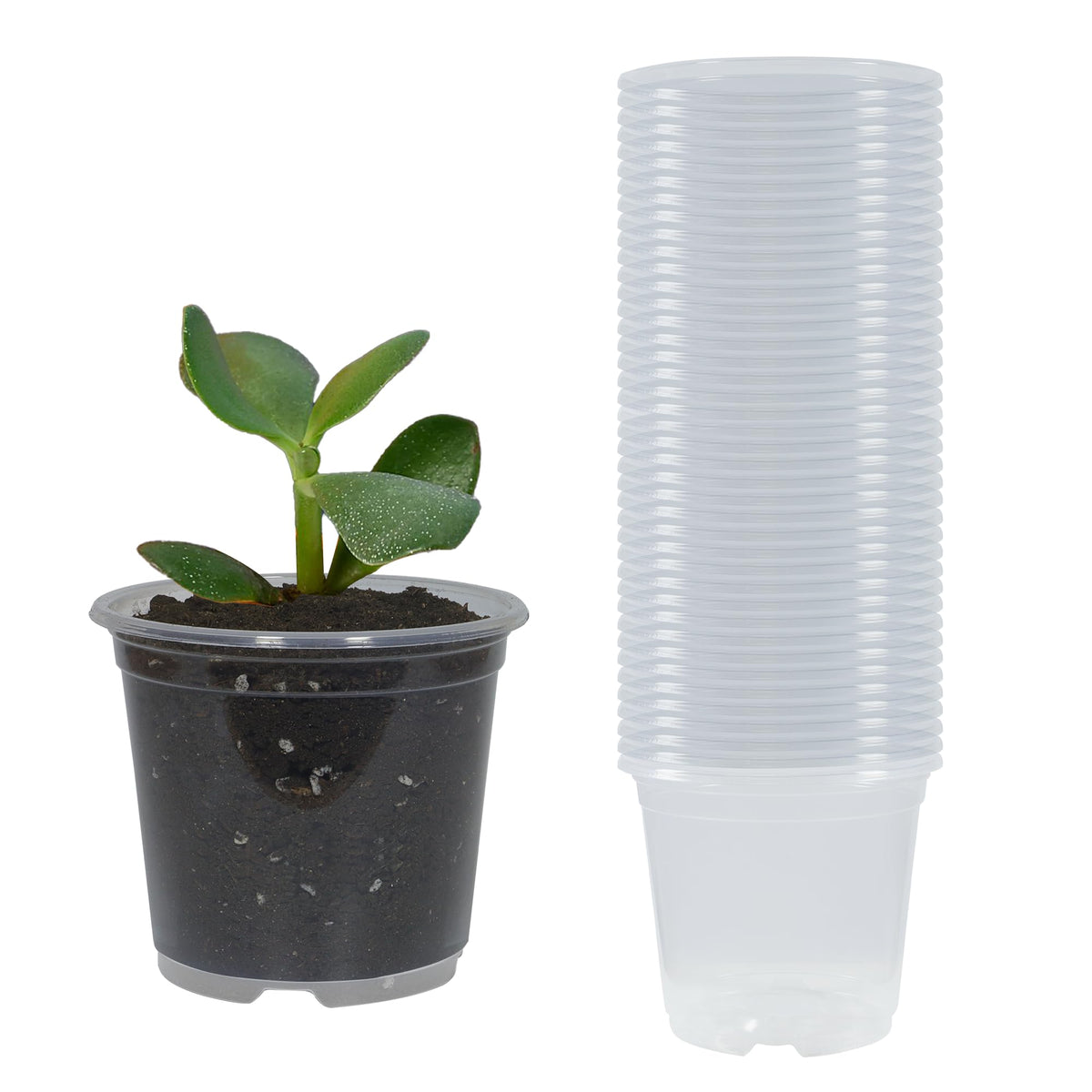 TNTIWQ clear nursery pot 3in for seed starting and drainage