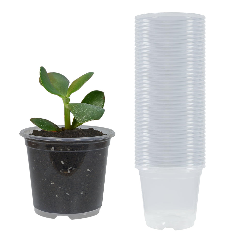 TNTIWQ clear nursery pot 3in for seed starting and drainage