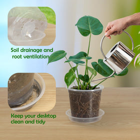 TNTIWQ clear pot highlights visible roots for observation