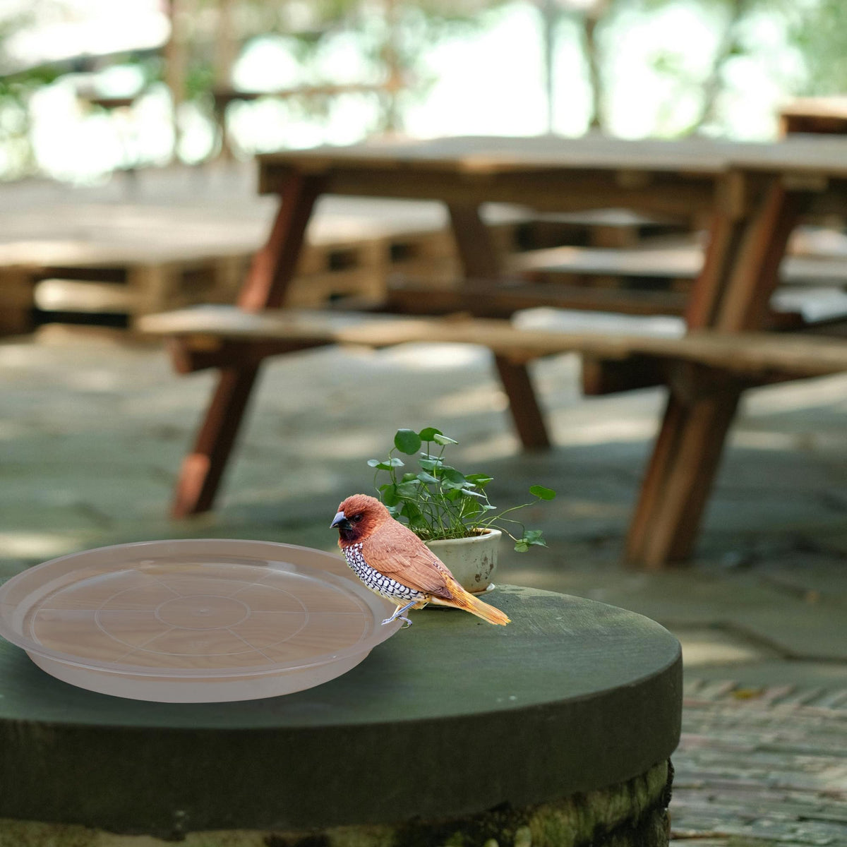 TNTIWQ compatible with ceramic, clay, and plastic pots for versatile use.