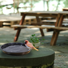 TNTIWQ decorative pebbles and bird-bath idea with saucer