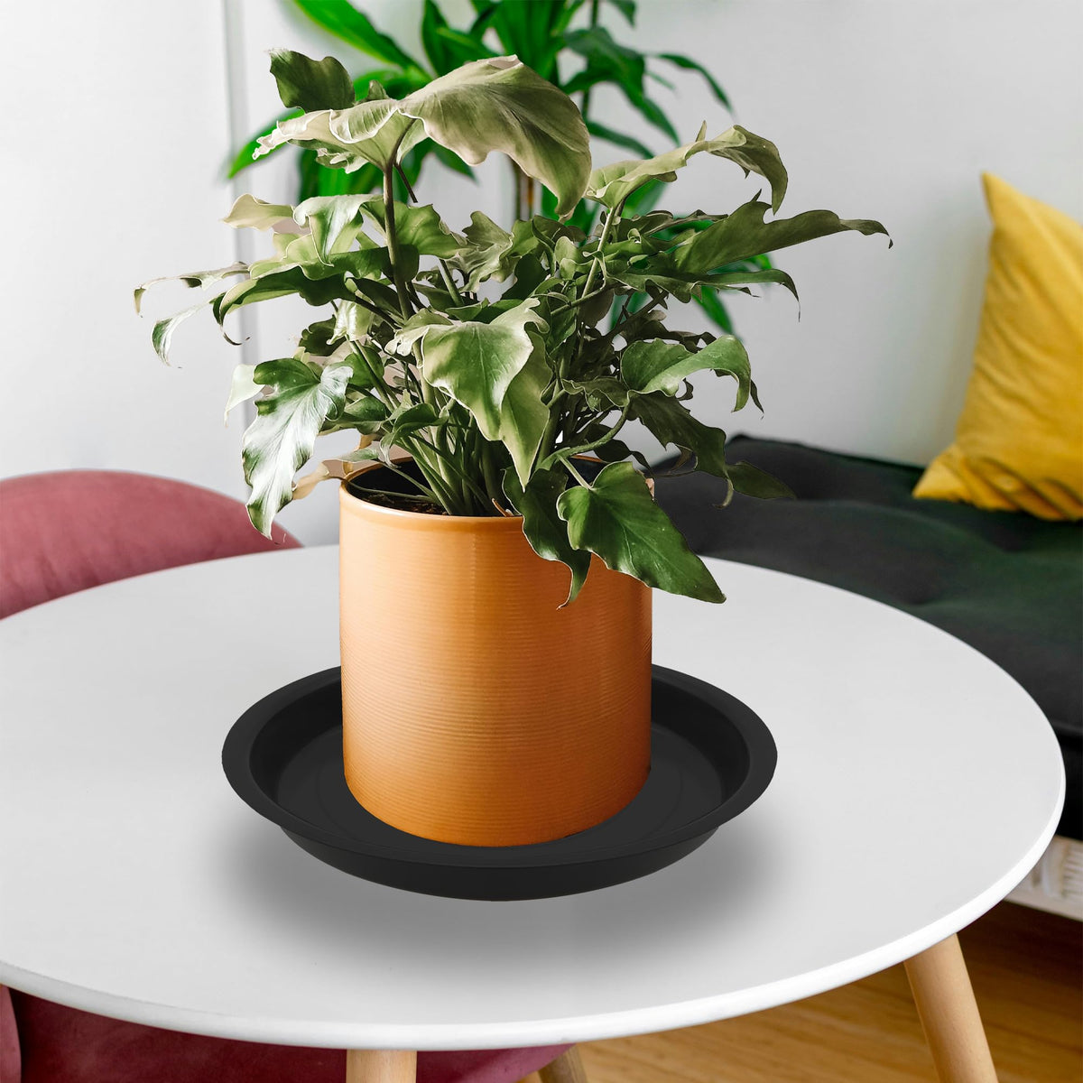 TNTIWQ decorative pebbles on saucer for stylish setup.