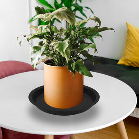TNTIWQ decorative pebbles on saucer for stylish setup.