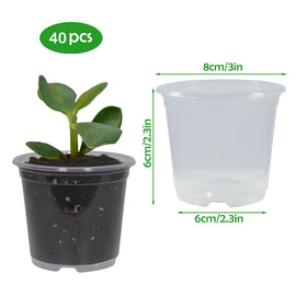 TNTIWQ transparent pot with drainage supports easy watering