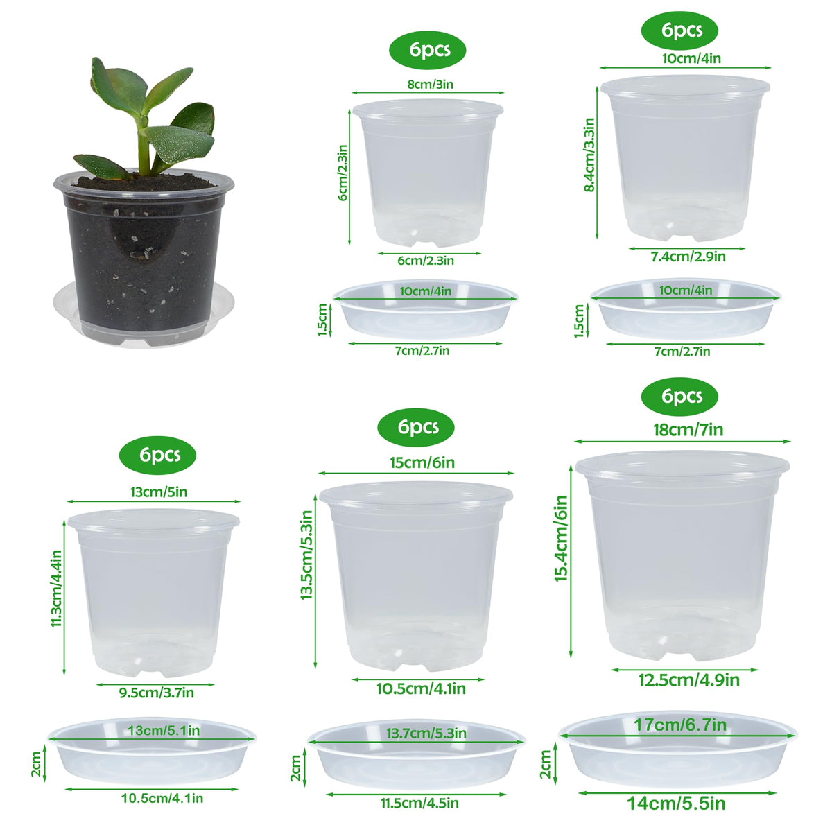 TNTIWQ drainage holes close-up on clear pot supports root airflow